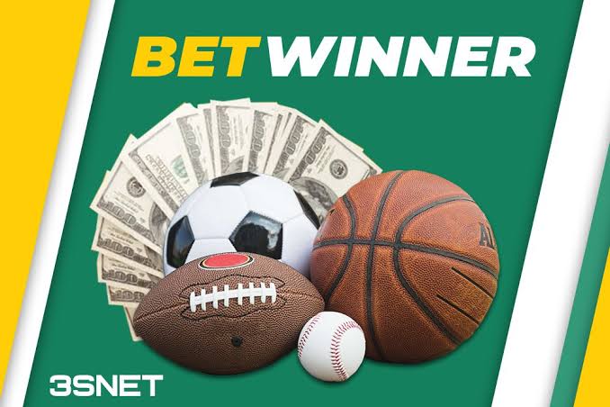 Discover BetWinner Casino and Sportsbook Your Ultimate Gaming Destination